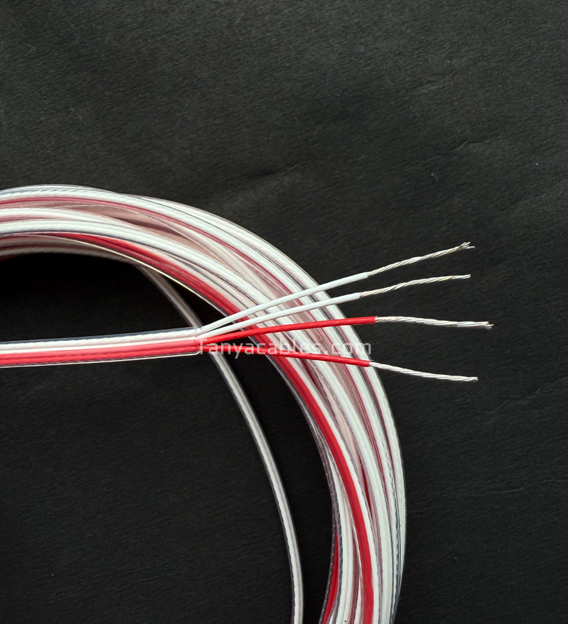 Tanya Enterprises Industries